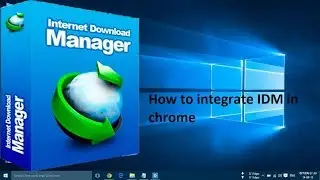 IDM integration module installation in chrome
