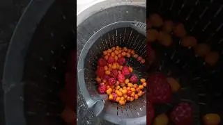 молочный витаминный коктейль Осень