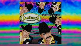 Los Tucanes De Tijuana - El Tucanazo (Romanshi Remix)