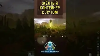КОНТЕЙНЕР С ЛУТОМ В ARK SURVIVAL ASCENDED  Легендарные чертежи??? 