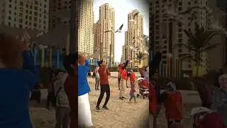How to feed the dove in Beach