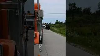 Mennonite buggy horses a little afraid of construction equipment