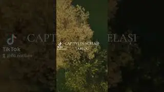 vreau să mă vindec de tine ❤️‍🩹