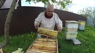 Мед в апреле.  Миф или реальность