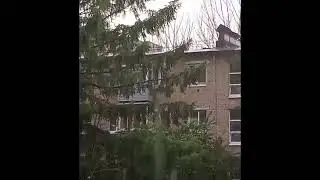 #песня огонь #погода #гармонь