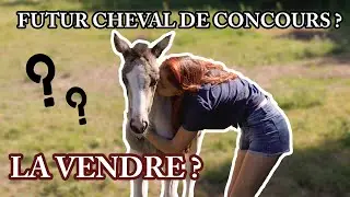 TOUT sur mon POULAIN