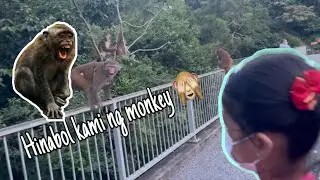 Hinabol kami ng monkey 🙈