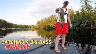 Catching Maine Largemouth Bass in July Part 1