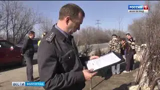 О проверке саженцев на стихийных рынках в Волгоградской области