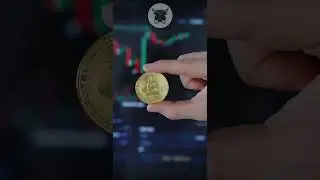 #bitcoin #testnet #active #криптовалюта #sui в телеграме вся инструкция