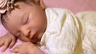 ⚠️SERIES: How to Better Enjoy Our R.E.B.O.R.N.S. 👶 Ep9; "Conclusion". ⚠️
