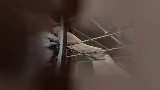 Установка кузова на Газель Бизнес 3м Евро