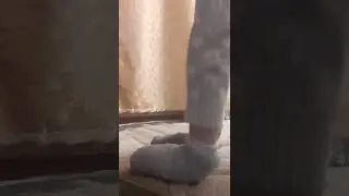 балерина 😂🤣😅