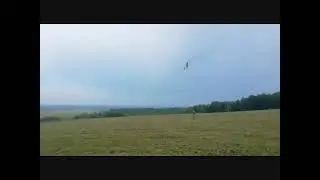 Краш