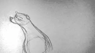 Head Turn