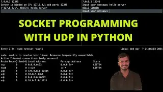 Socket Programming with UDP in Python | Computer Networking Tutorial | DevOps/SRE Interview Question