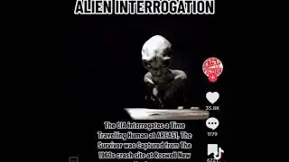 alien interview, alien captured, interrogation, time traveller, hoax or real? made in usa