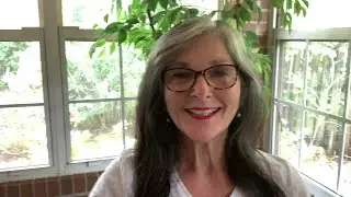 FLYLADY - ANALYSIS PARALYSIS - A SPECIAL SAMPLE PATREON VIDEO BY FLYLADY KAT - THE FLYLADY SYSTEM