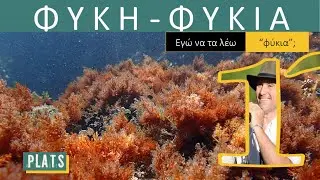 Seagrasses - Seaweeds: May I call them “fykia”?