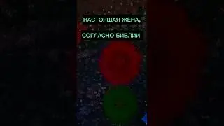 Настоящая жена по Библии #shorts #жена #настоящаяжена #библия #христианство