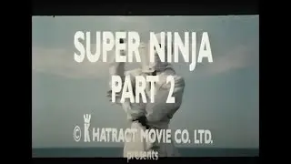 Super Ninja Part 2