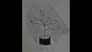 Shutro (Single Version) - Mahir Mesbah