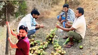 Fresh Palm Fruit Hunting | ice apple #iceapple #palm