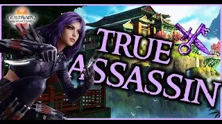 TRUE ASSASSIN THIEF - The BEST Leveling Build for Guild Wars 2 Open World