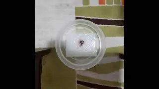 Suda renk değiştiren peçete