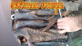 Smoking sturgeon. Cooking is simple,