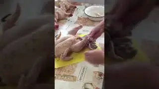 Разделка тушки куриного бройлера