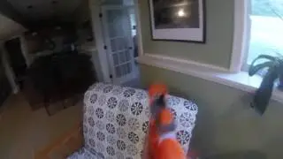First Nerf War!