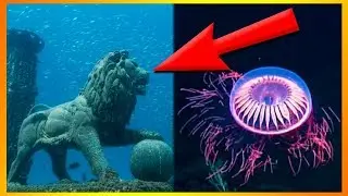 10 Crazy Ting Som Er Blevet Fundet Langt Nede I Havet