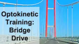 Optokinetic Training: Bridge Drive (Simple Suspension)