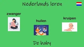 Nederlands leren; De baby. (Les 83)