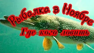 Рыбалка в Ноябре. Кого на Что и Где ловить. Особенности ноябрьской рыбалки.