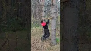 тренировка на свежем воздухе #зож #осанка #похудение