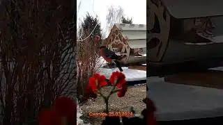 За окошком снегири...