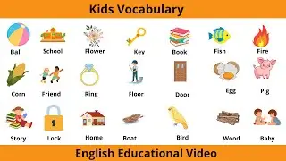 Kids Vocabulary Words | Learn Basic English Vocabulary | Kids Vocabulary in English