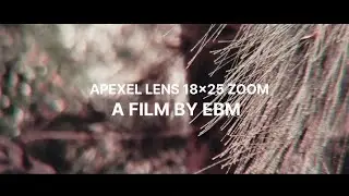 Found my peace❤️ (A short film with nature)(Cinematic)