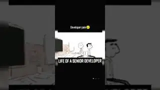 Life of Senior Developer 😄 