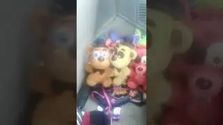 My plush collection