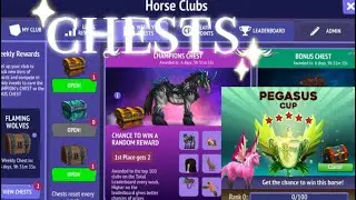 Champion chest and race chest | Horse Riding Tales