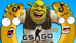 TIK TOK CS: GO # 3✅ ANIMATIONMemesFUNBEST MOMENTS