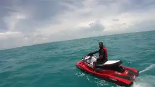 Alligator Reef