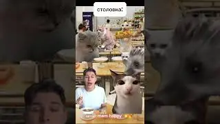 школьный день💥