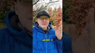 Перестань себя насиловать! Вспомни о своих истинных желаниях 