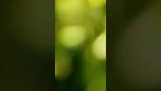 Goalkeeper POV but I go blind