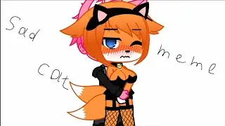 Sad cat meme