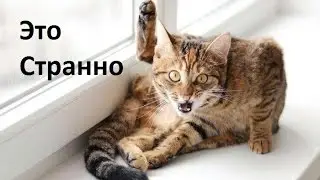 CS:GO - Это странно